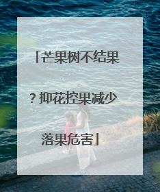 芒果树不结果？抑花控果减少落果危害